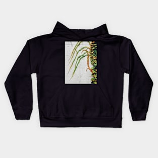 Green Ivy Growning on Grey Urban Concrete Wall Kids Hoodie